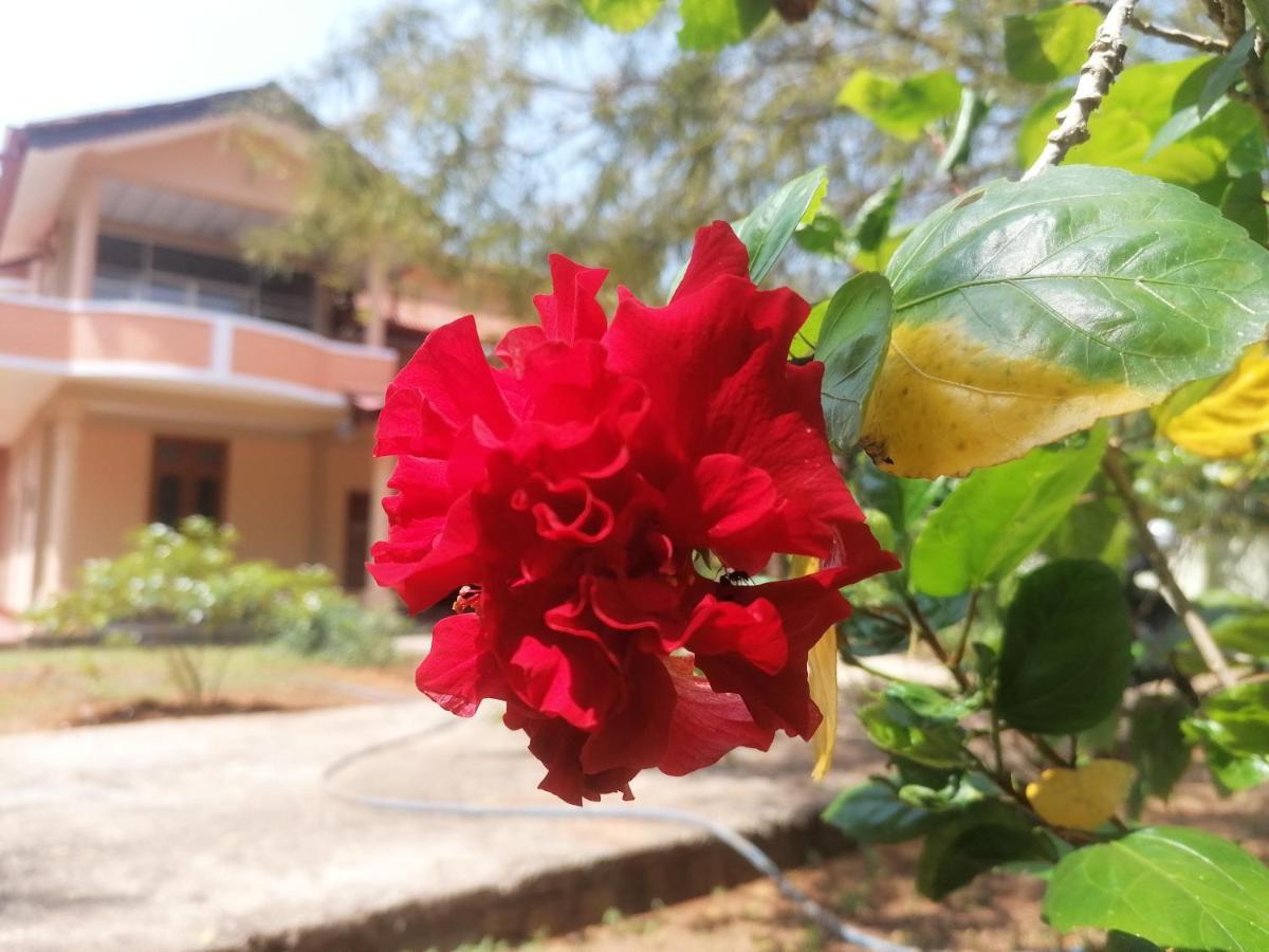 Ashoka Villa Jaffna Eksteriør bilde